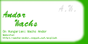 andor wachs business card
